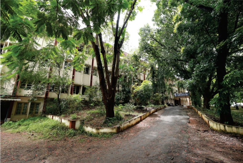 Department campus pathway